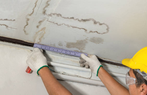 Reliable Water Damage contractor in Glencoe, MN by Water Damage Irwin